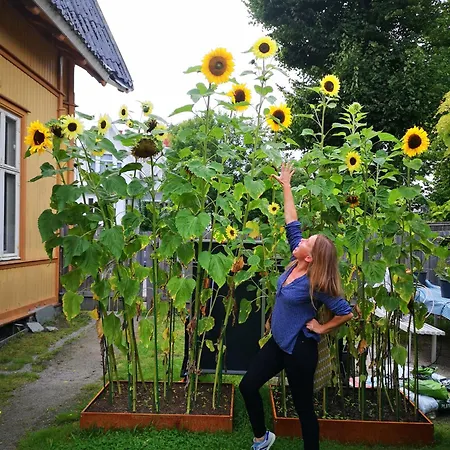 Cicignon, Peaceful But With Garden, Parking And Long Facilities